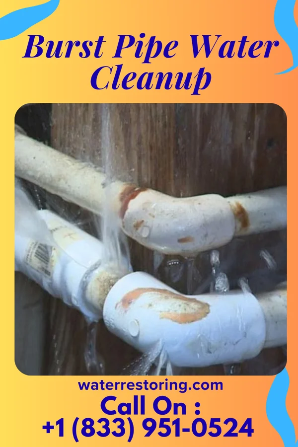 Burst Pipe Water Cleanup in West Glens Falls, NY