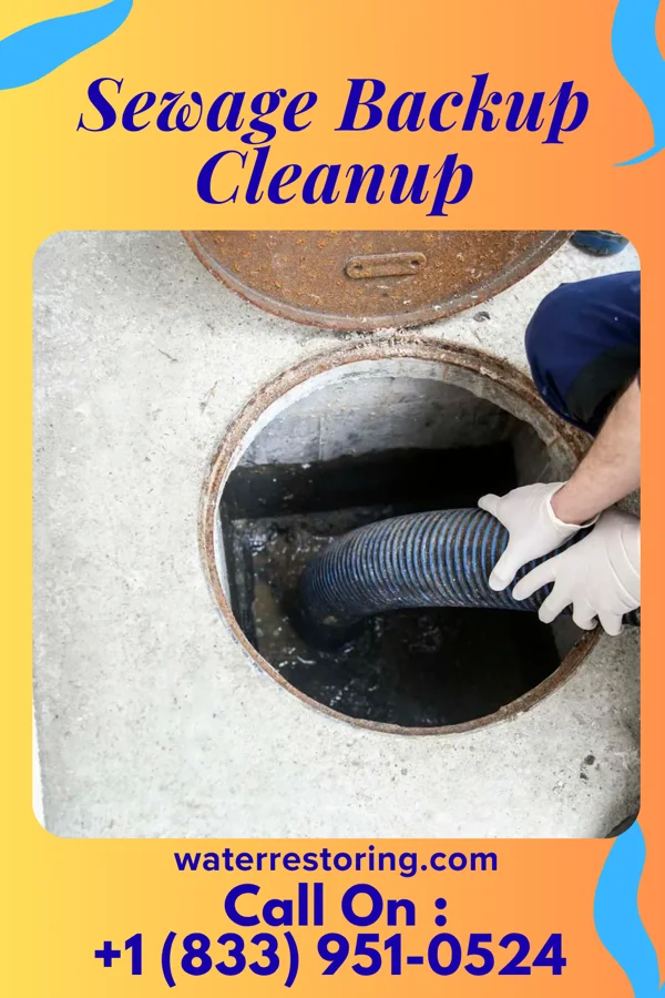 Sewage Backup Cleanup in West Glens Falls, NY